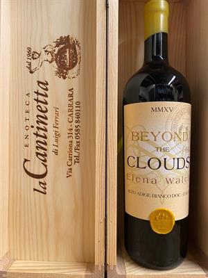 BEYOND THE CLOUDS ARGENTUM BONUM ALTO ADIGE DOC 2015  ELENA WALCH