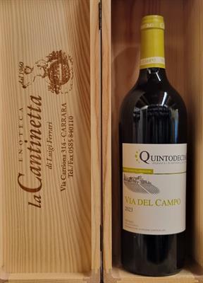 QUINTODECIMO VIA DEL CAMPO DOCG FALANGHINA 2023