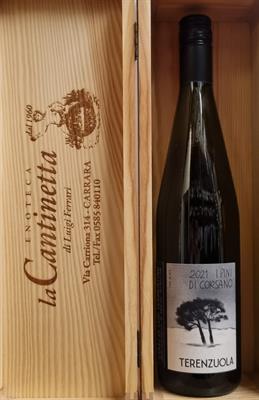 VERMENTINO PINI DI CORSANO DOC COLLI DI LUNI 2021 TERENZUOLA